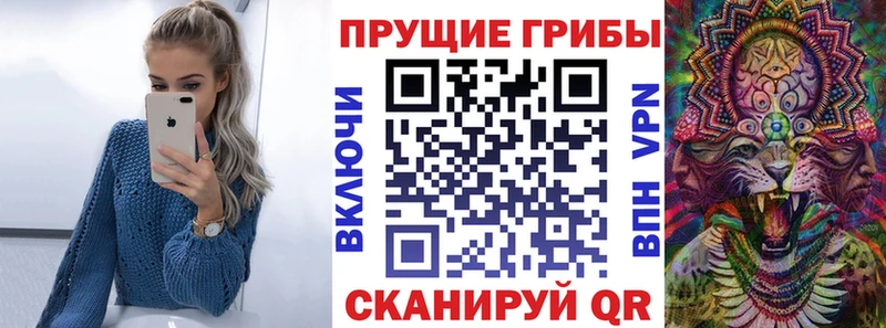 Галлюциногенные грибы MAGIC MUSHROOMS где купить Короча